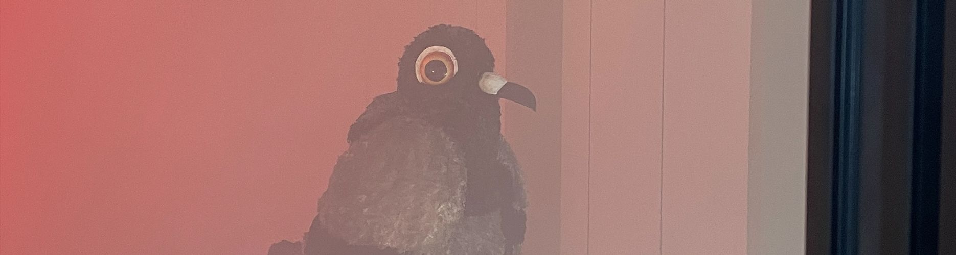 Stadttaube von Kshhhhh